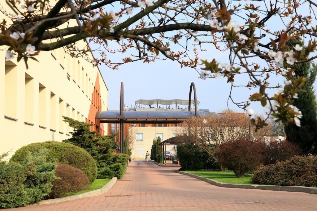Centrum Konferencyjne Ibib Pan Varsóvia Exterior foto
